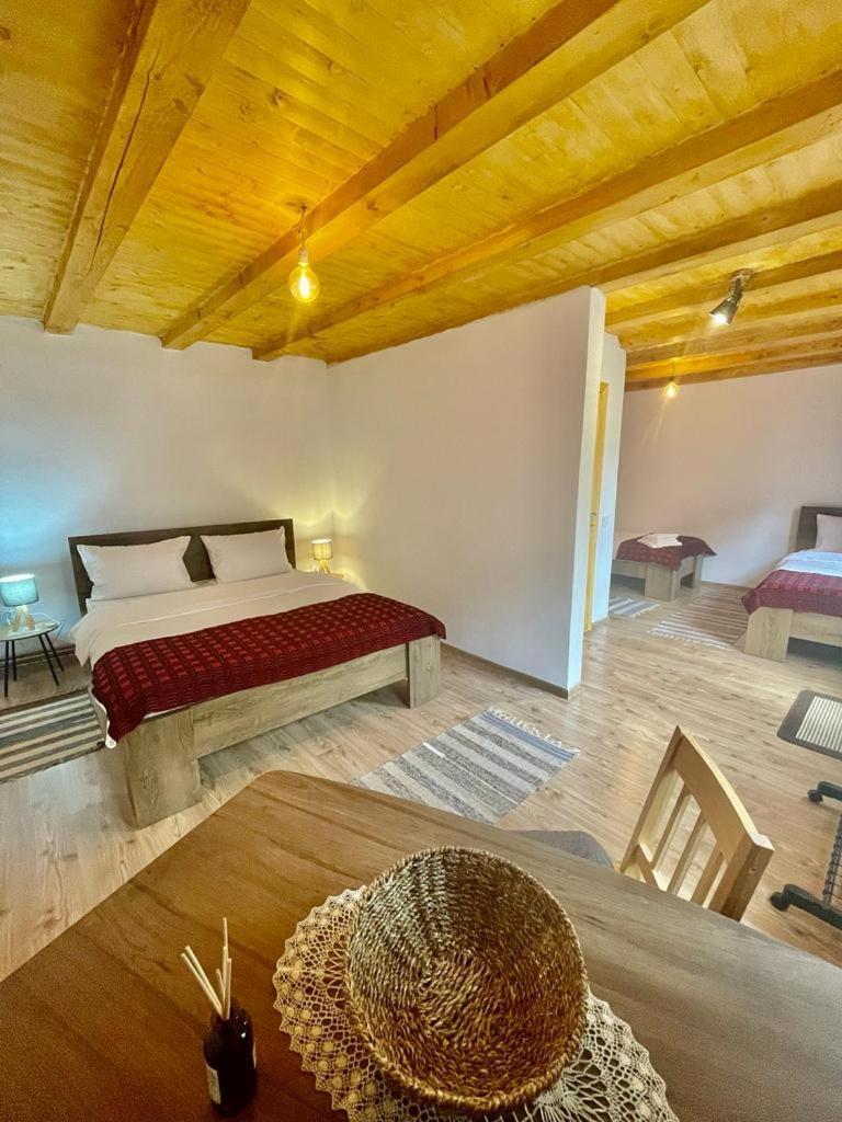 Casa De Vacanta Family & Friends Crit Εξωτερικό φωτογραφία